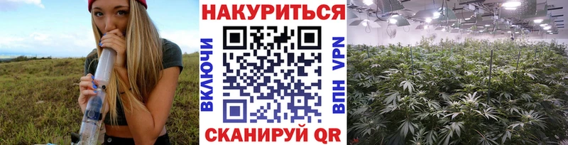 Купить  Углегорск  Конопля SATIVA & INDICA 